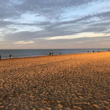 Nevada Apartment Near The Beach Appartement Coxyde